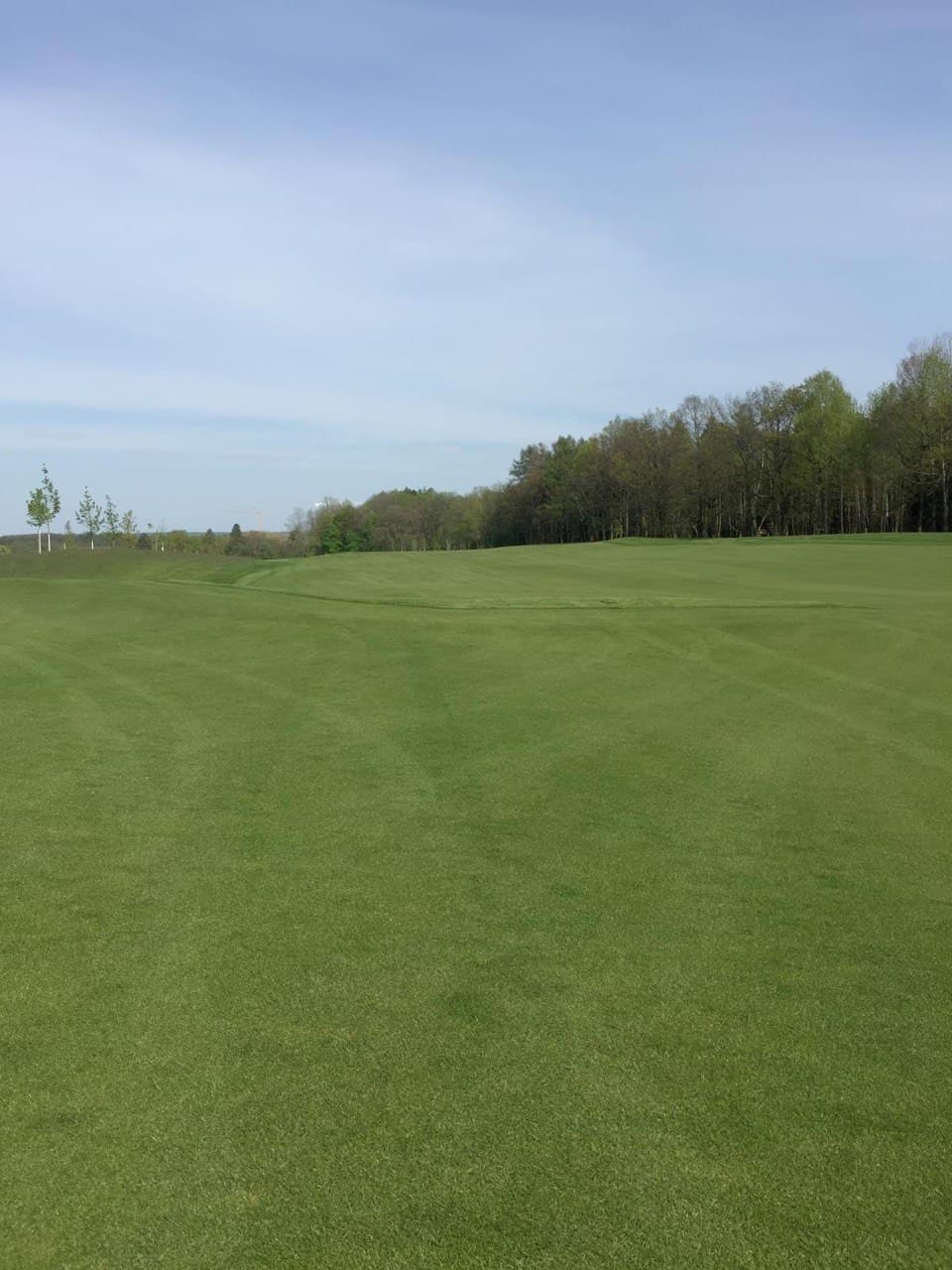 Vzrostlá fairway golfového hřiště po dokončení terénních úprav
